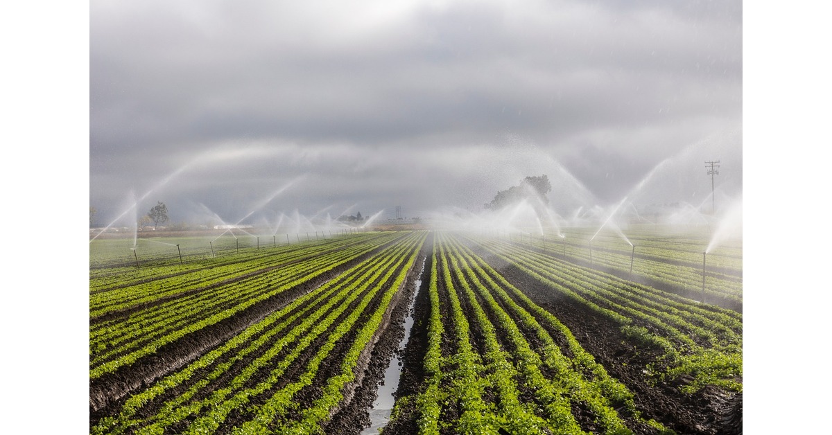 who-owns-precision-irrigation-and-pump-company